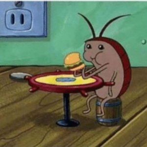 Meet your Posher, Alex